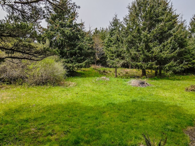 11119 Pacific Way, Long Beach, WA 98631