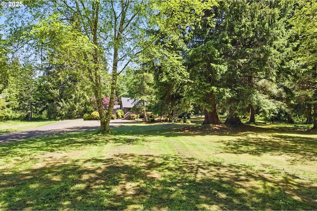 33712 Rainbows End Ln, Warrenton, OR 97146 - view of grassy yard