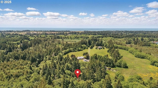 33712 Rainbows End Ln, Warrenton, OR 97146 - aerial view of a forest