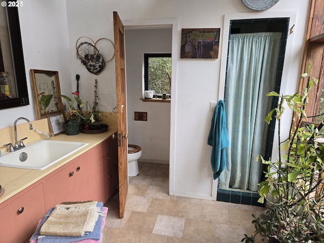 bathroom with toilet and vanity