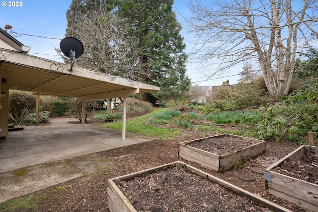 view of yard with a patio and a vegetable garden