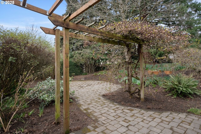 view of patio featuring a pergola