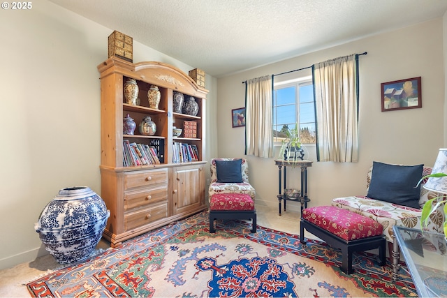 sitting room with carpet floors and a textured ceiling