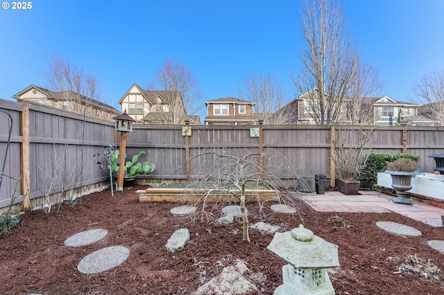 view of yard featuring a patio