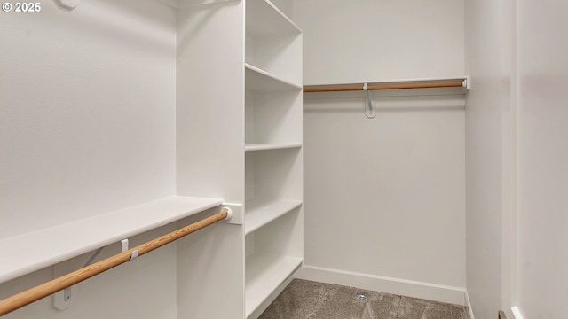 spacious closet featuring carpet