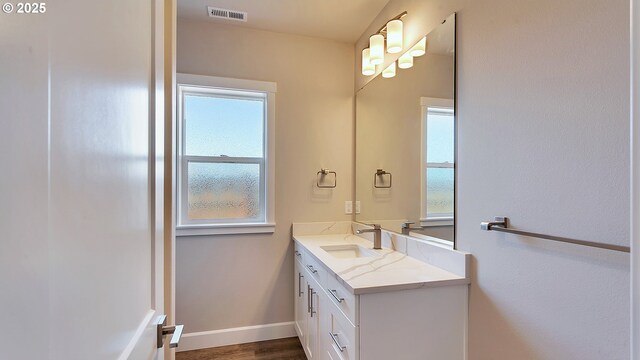 bathroom with hardwood / wood-style flooring and vanity