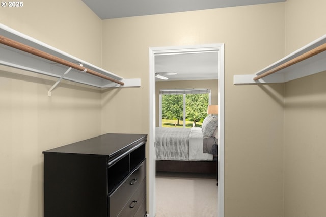 5050 S Landing Dr Unit 202, Portland, OR 97239 - view of spacious closet