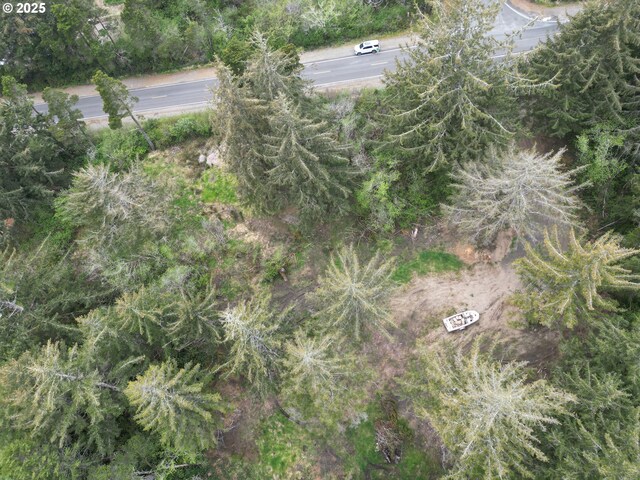 Lakeshore Dr, Langlois, OR 97450