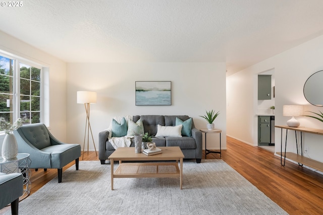 165 NE 167th Pl, Portland, OR 97230 - living room featuring light wood-style floors and a textured ceiling