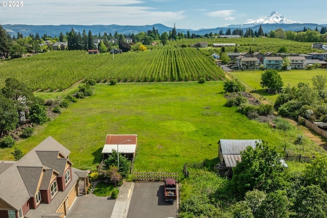 view of rural area featuring extensive farmland and a mountain backdrop