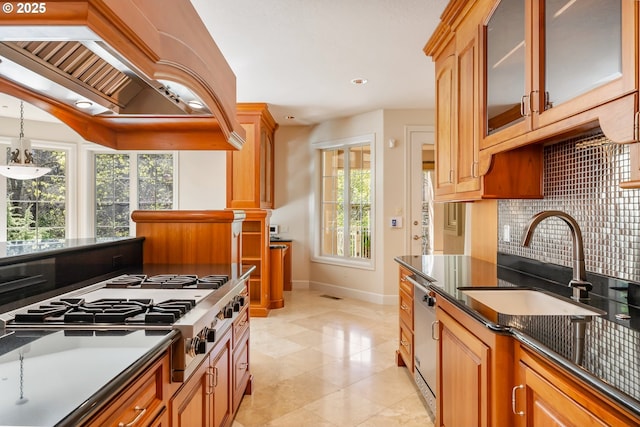 kitchen with baseboards, a sink, premium range hood, stainless steel appliances, and backsplash
