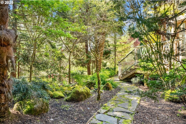 view of yard with stairs