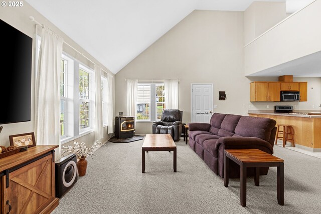 40510 NE 261st Ct, Amboy, WA 98601 - living room featuring light colored carpet, high vaulted ceiling, and a wood stove
