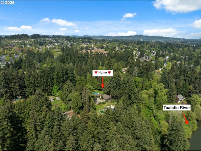 aerial view featuring a forest view