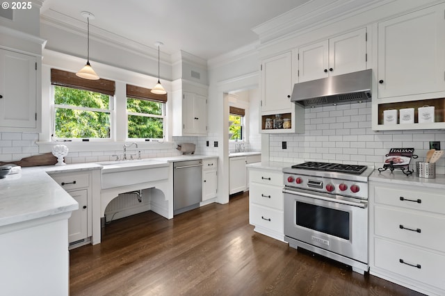 2225 NE 22nd Ave, Portland, OR 97212 - kitchen featuring stainless steel appliances, under cabinet range hood, decorative backsplash, white cabinetry, and crown molding