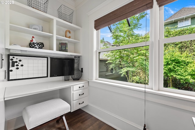 2225 NE 22nd Ave, Portland, OR 97212 - home office featuring plenty of natural light, dark wood-style flooring, built in study area, and ornamental molding