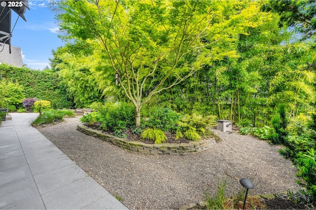 2225 NE 22nd Ave, Portland, OR 97212 - view of yard