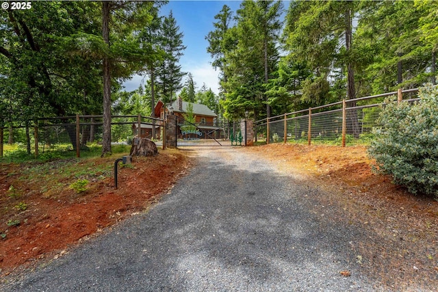 400 Rockinghorse Dr, Grants Pass, OR 97527 - view of dirt / gravel driveway with a gate and a gated entry