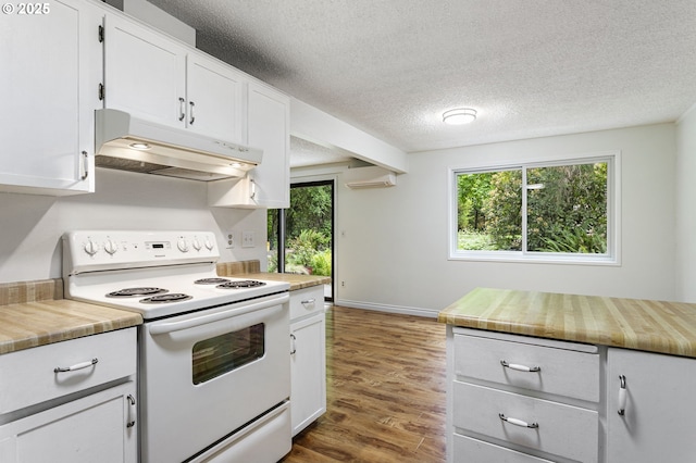 7124 SW Murray Blvd, Beaverton, OR 97008 - kitchen with white electric range, under cabinet range hood, wood finished floors, white cabinetry, and a textured ceiling