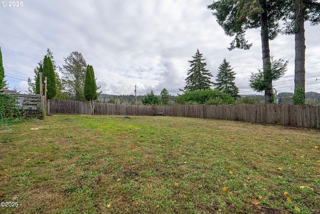 5053 NE 50th St, Neotsu, OR 97364 - view of yard