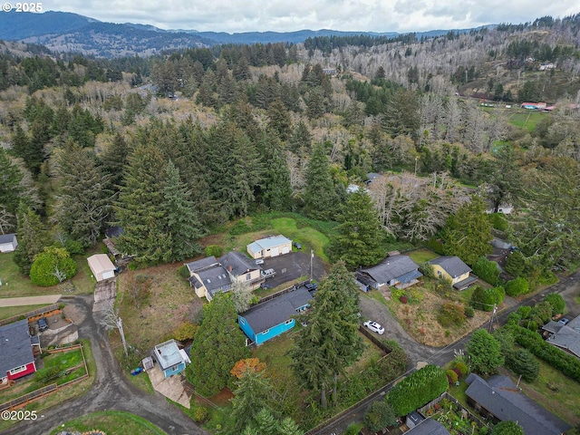 5053 NE 50th St, Neotsu, OR 97364 - aerial view of property and surrounding area featuring a mountainous background