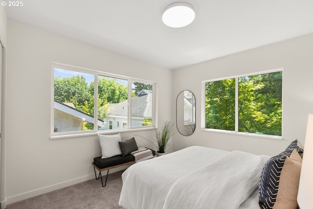 2415 NE 38th Ave Unit B, Portland, OR 97212 - carpeted bedroom featuring baseboards