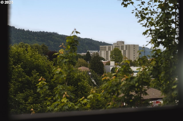 city view featuring a heavily wooded area
