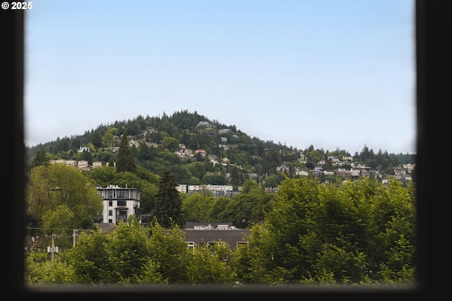 mountain view