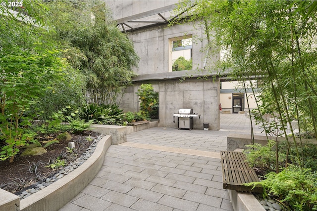 view of patio / terrace featuring grilling area