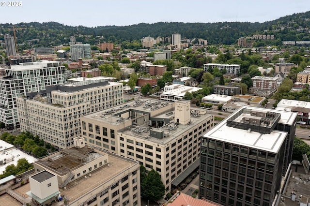 view of city with a forest