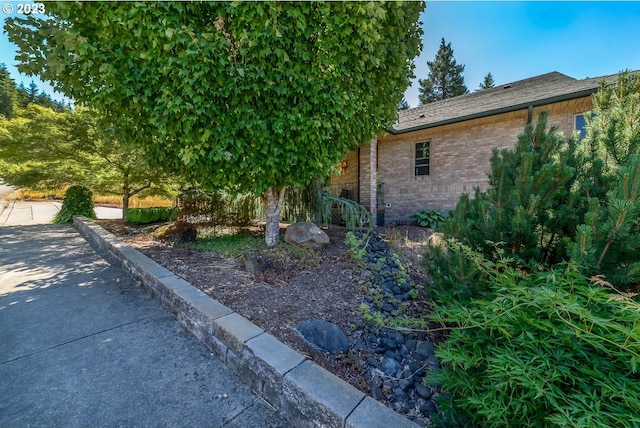 48482 E Meadow Way, Oakridge, OR 97463 - view of yard