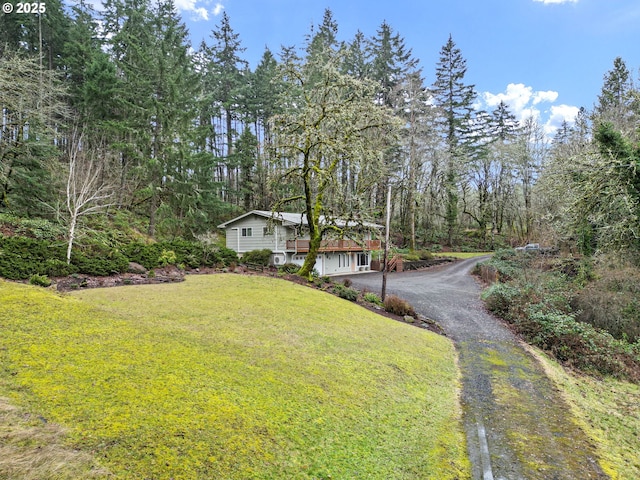 view of yard featuring driveway