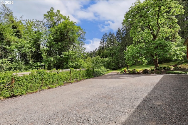 29806 Lusk Rd, Eugene, OR 97405 - view of street