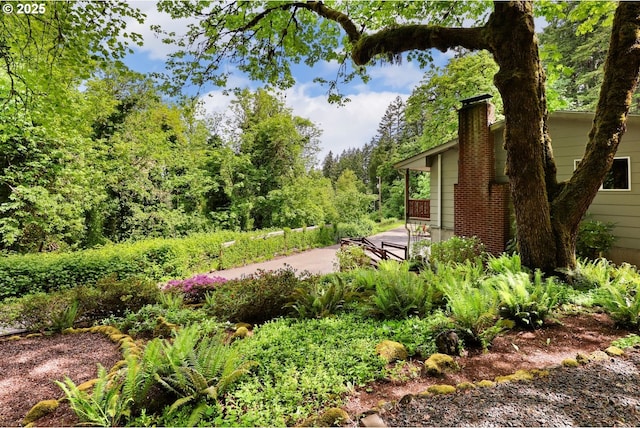 29806 Lusk Rd, Eugene, OR 97405 - view of yard with a patio