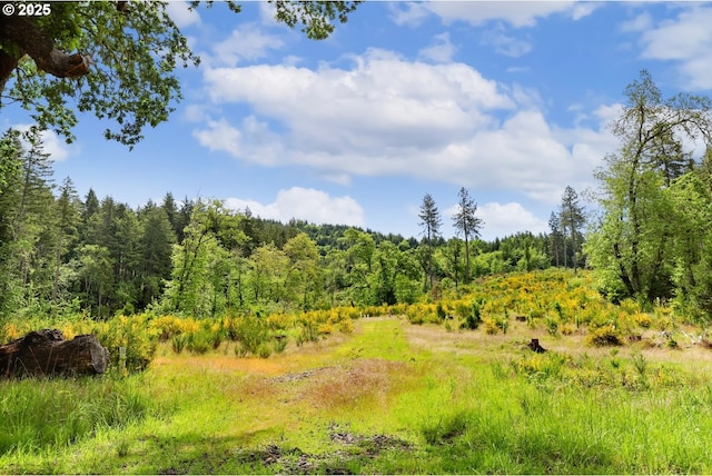 29806 Lusk Rd, Eugene, OR 97405 - view of woods