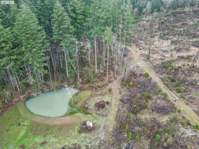 29806 Lusk Rd, Eugene, OR 97405 - bird's eye view