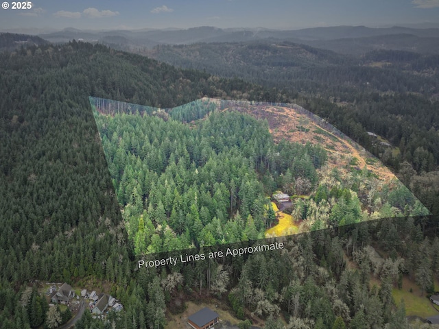 29806 Lusk Rd, Eugene, OR 97405 - view of property location featuring a forest, mountains, and property parcel outlined