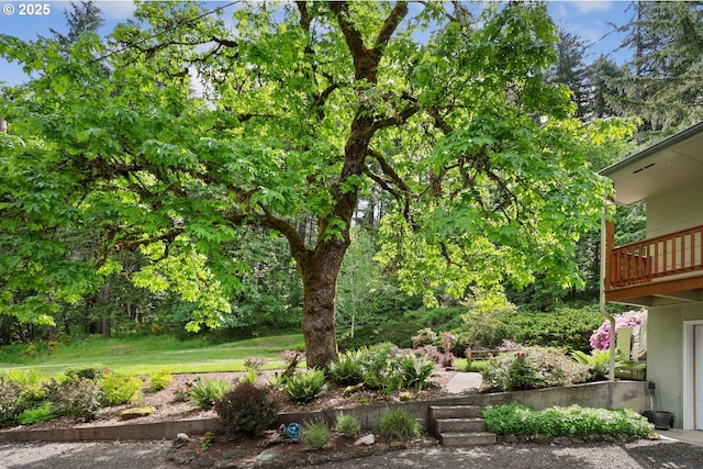 29806 Lusk Rd, Eugene, OR 97405 - view of yard