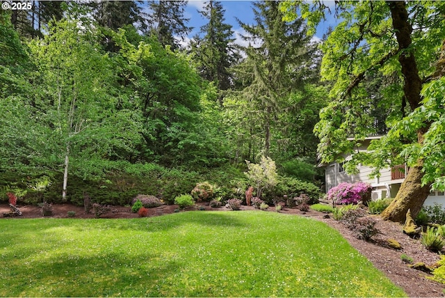 29806 Lusk Rd, Eugene, OR 97405 - view of grassy yard with a wooded view