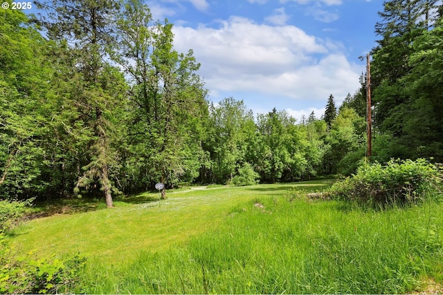 29806 Lusk Rd, Eugene, OR 97405 - view of yard featuring a view of trees