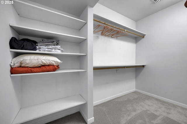 walk in closet featuring carpet flooring