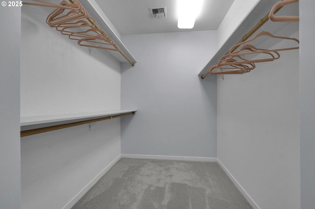 walk in closet featuring carpet
