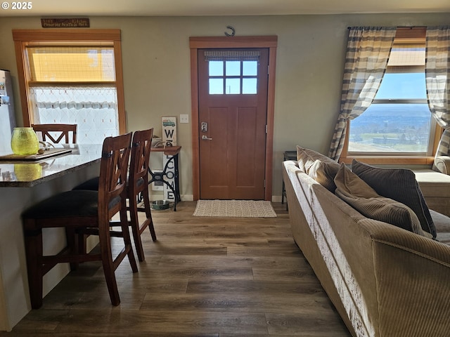 entryway featuring dark hardwood / wood-style flooring