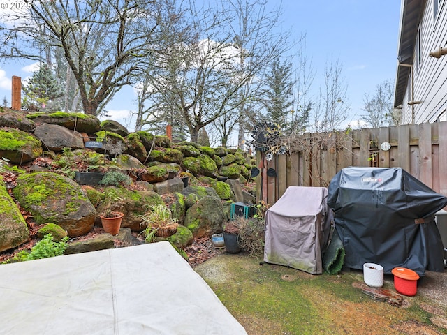 view of yard featuring a patio