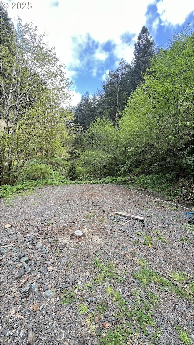 28515 Mateer Rd, Gold Beach, OR 97444