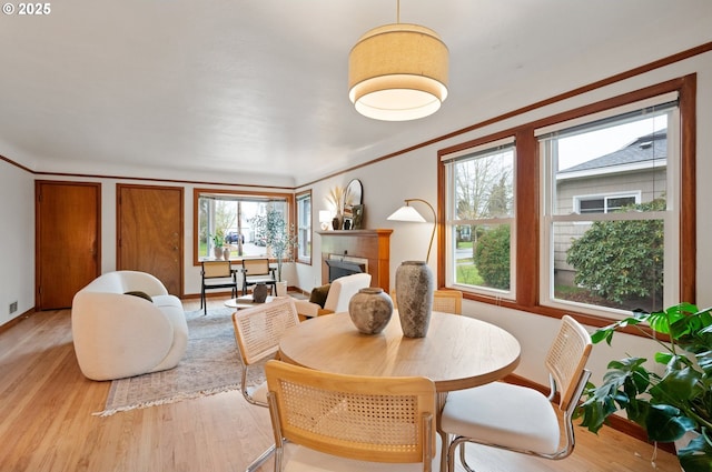 dining room with a fireplace, baseboards, crown molding, and light wood-style floors