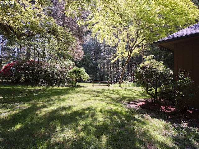 205 Baker Rd, Ariel, WA 98603 - view of grassy yard featuring a forest view