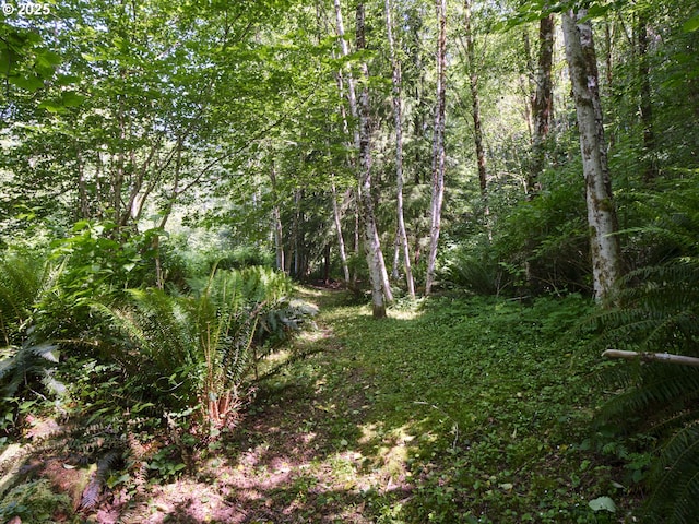 205 Baker Rd, Ariel, WA 98603 - view of woods