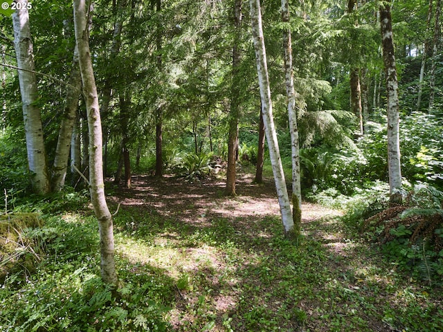 205 Baker Rd, Ariel, WA 98603 - view of tree filled area