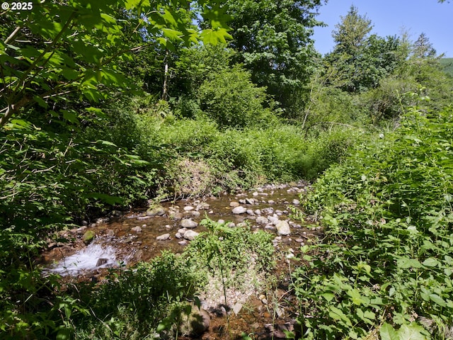205 Baker Rd, Ariel, WA 98603 - view of local wilderness